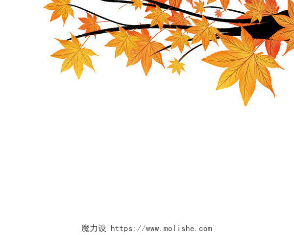 橙色手绘卡通枫叶枫树树枝秋天秋季元素PNG素材